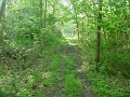 Louisville_Fire_Brick_Trail_Segment_11