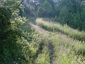 Louisville_Fire_Brick_Trail_Segment_14