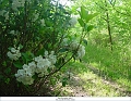 Louisville_Fire_Brick_Trail_Segment_16