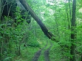 Louisville_Fire_Brick_Trail_Segment_21