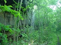 Louisville_Fire_Brick_Trail_Segment_22