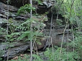 Louisville_Fire_Brick_Trail_Segment_23