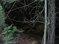 Louisville_Fire_Brick_Trail_Segment_30