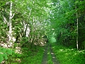 Louisville_Fire_Brick_Trail_Segment_32