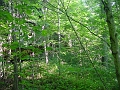 Louisville_Fire_Brick_Trail_Segment_34