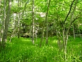 Louisville_Fire_Brick_Trail_Segment_41