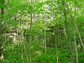 Louisville_Fire_Brick_Trail_Segment_42