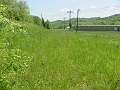 trail_west_of_rt_174_at_rt_60_01