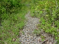 trail_west_of_rt_174_at_rt_60_03