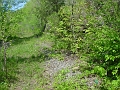trail_west_of_rt_174_at_rt_60_05