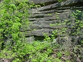 trail_west_of_rt_174_at_rt_60_06