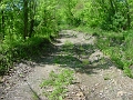 trail_west_of_rt_174_at_rt_60_08