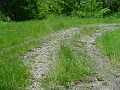 trail_west_of_rt_174_at_rt_60_09