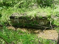trail_west_of_rt_174_at_rt_60_11