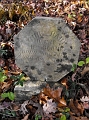 Clark_Daisy_H_Our_Baby_Born_5-15-1908_Died_4-8-1914