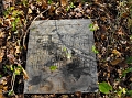 Payne_Mamie_Watson_beloved_wife_of_A_B_Payne_Born_8-31-1884_Died_8-5-1913