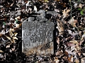 Proctor_Audrie_Clark_Born_June_15_1904_Died_Sept_30_1909
