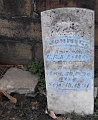 Abbott_Johnie_son_of_C_R_and_Lilli_Abbott_Born_Aug_30_1890_Died_Sept_18_1891