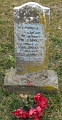 Wilhoit_Wendell_L_Born_Feb_1_1896_Died_Feb_24_1897