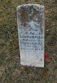 Zimmerman_son_of_Zimmerman_Born_May_21_1888_Died_19_1899