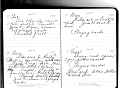 Vada_McBrayer_Diary_1933_47