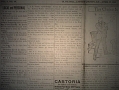 T_T_DSC07867