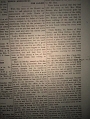 T_T_DSC05520