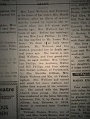 T_T_DSC03678