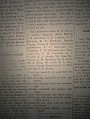 T_T_DSC03685