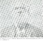 Click for large version